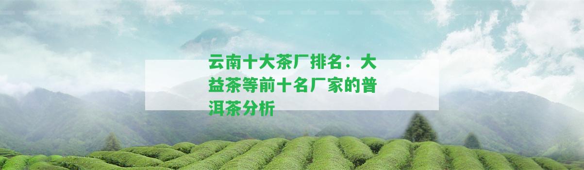 云南十大茶廠排名：大益茶等前十名廠家的普洱茶分析