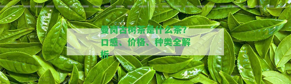 曼崗古樹茶是什么茶？口感、價格、種類全解析