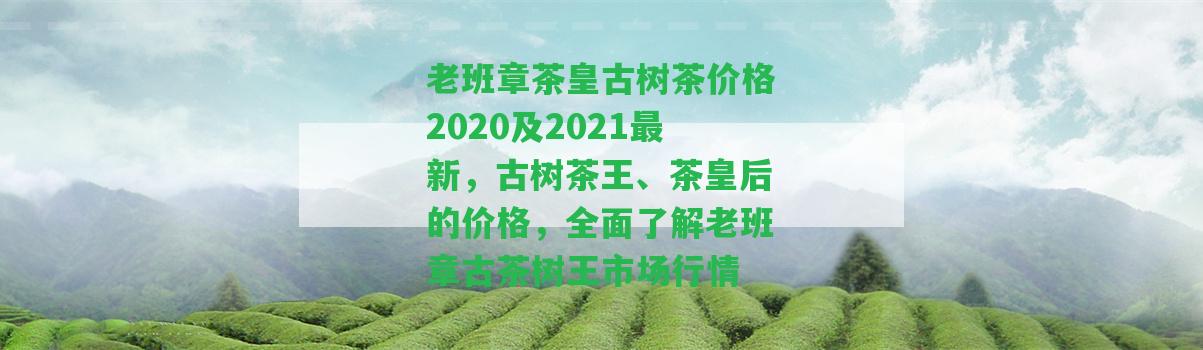 老班章茶皇古樹茶價(jià)格2020及2021最新，古樹茶王、茶皇后的價(jià)格，全面熟悉老班章古茶樹王市場(chǎng)行情