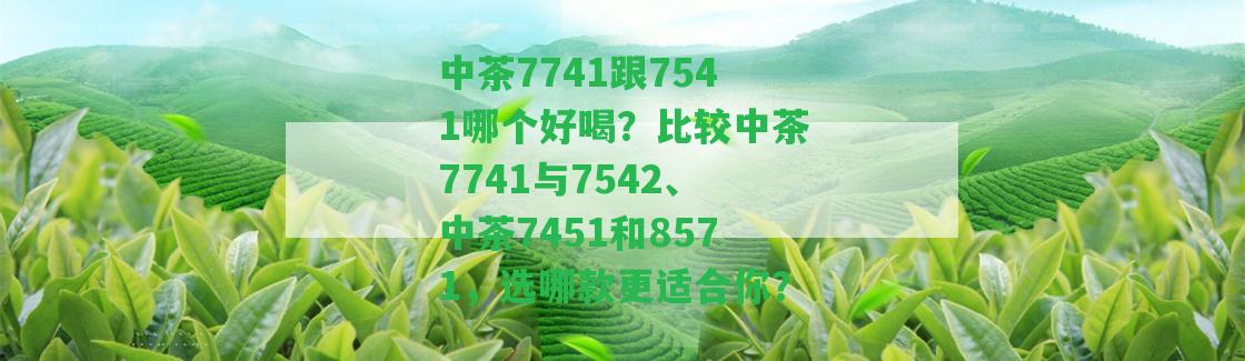 中茶7741跟7541哪個(gè)好喝？比較中茶7741與7542、中茶7451和8571，選哪款更適合你？