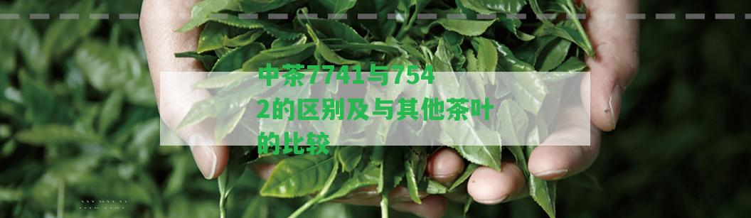 中茶7741與7542的區(qū)別及與其他茶葉的比較