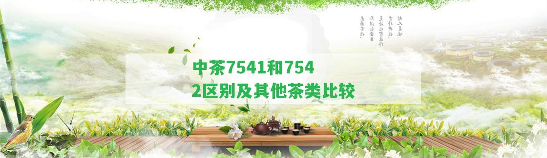 中茶7541和7542區(qū)別及其他茶類比較