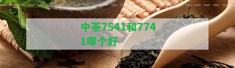 中茶7541和7741哪個(gè)好