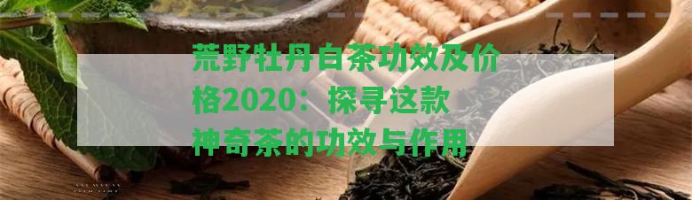 荒野牡丹白茶功效及價(jià)格2020：探尋這款神奇茶的功效與作用