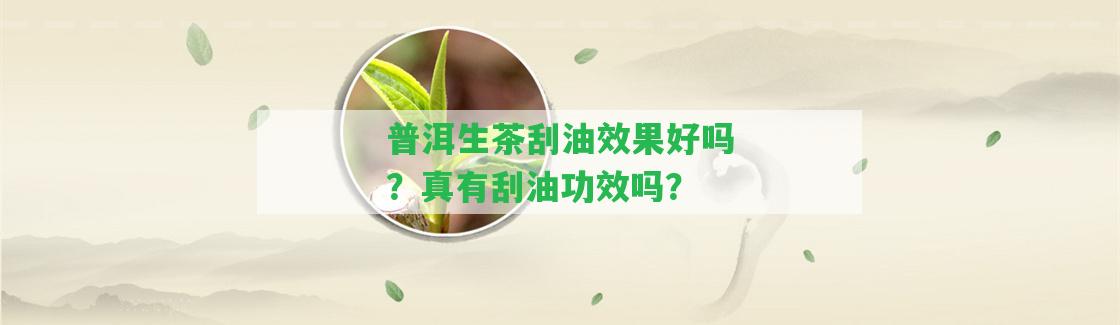 普洱生茶刮油效果好嗎？真有刮油功效嗎？