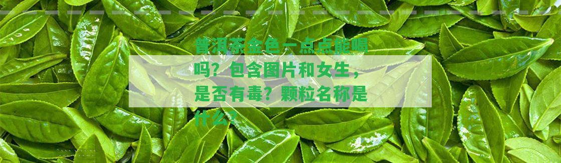 普洱茶金色一點(diǎn)點(diǎn)能喝嗎？包含圖片和女生，是不是有毒？顆粒名稱(chēng)是什么？