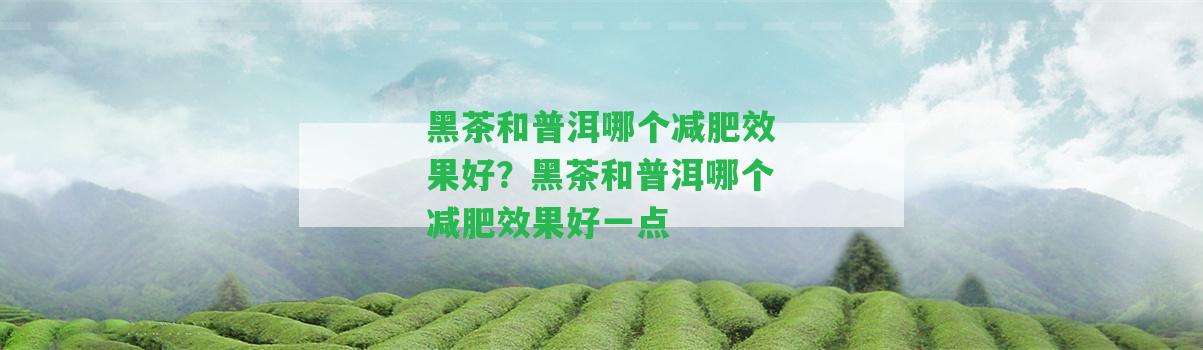 黑茶和普洱哪個(gè)減肥效果好？黑茶和普洱哪個(gè)減肥效果好一點(diǎn)