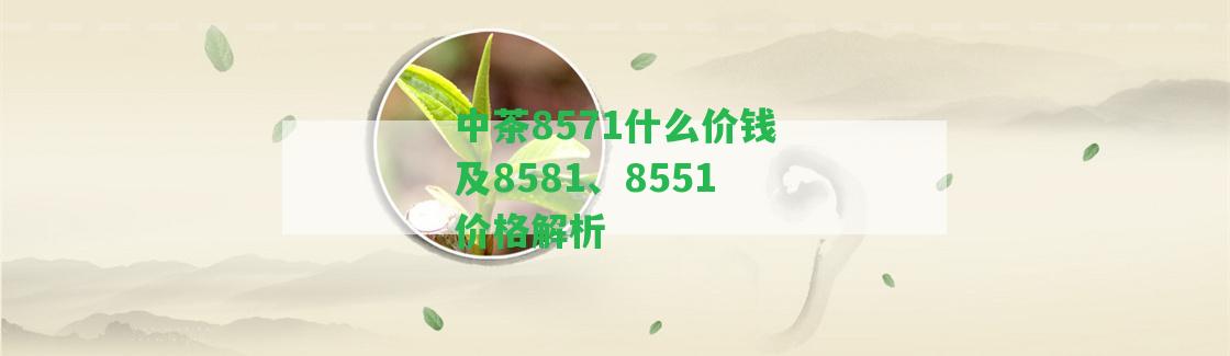 中茶8571什么價錢及8581、8551價格解析