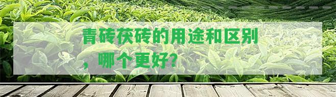 青磚茯磚的用途和區(qū)別，哪個更好？