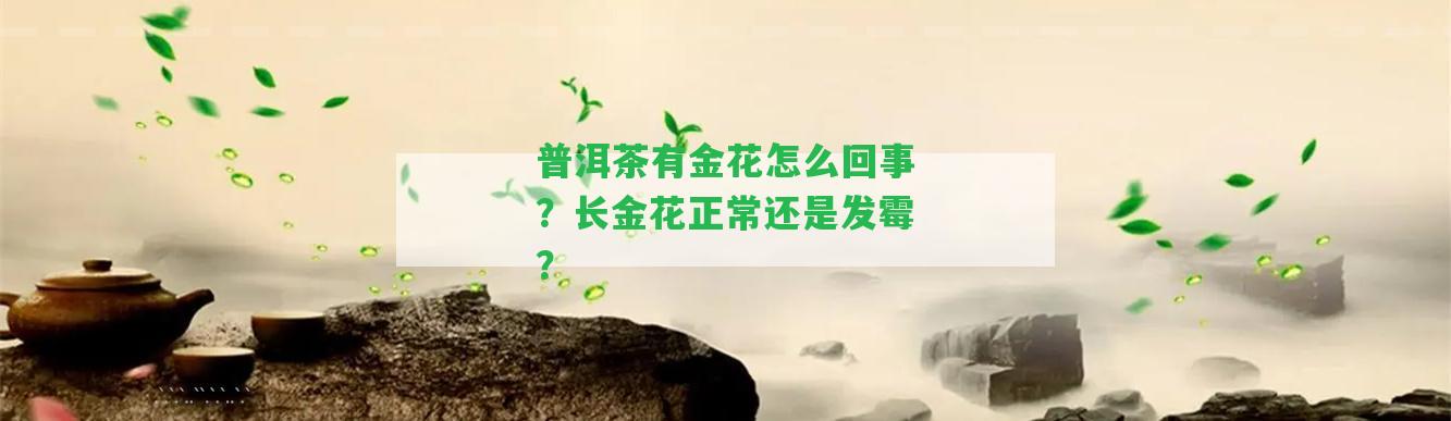 普洱茶有金花怎么回事？長金花正常還是發(fā)霉？