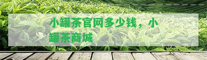 小罐茶官網(wǎng)多少錢，小罐茶商城