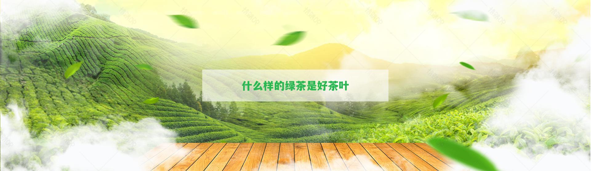 什么樣的綠茶是好茶葉