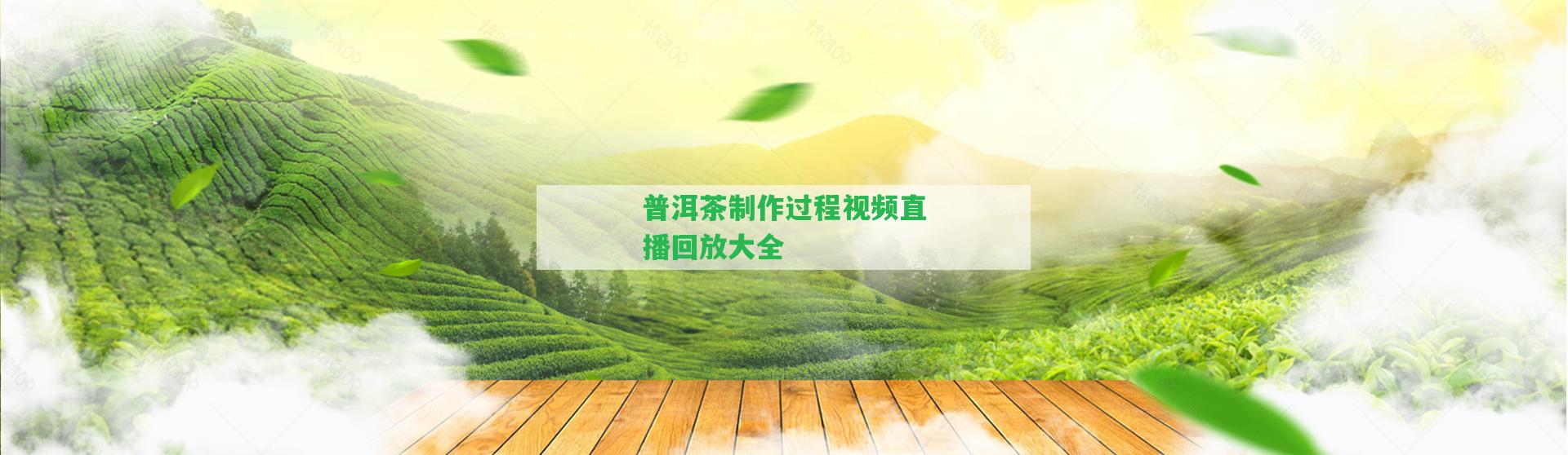 普洱茶制作過程視頻直播回放大全