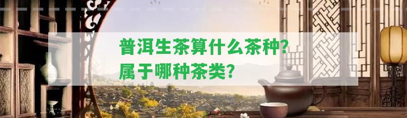 普洱生茶算什么茶種？屬于哪種茶類？