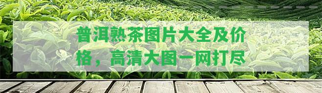 普洱熟茶圖片大全及價(jià)格，高清大圖一網(wǎng)打盡