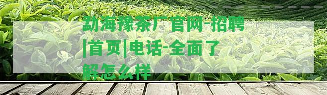 勐海豫茶廠官網(wǎng)-招聘|首頁(yè)|電話-全面熟悉怎么樣