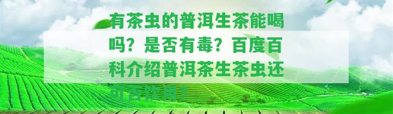 有茶蟲的普洱生茶能喝嗎？是不是有毒？百度百科介紹普洱茶生茶蟲還可否飲用？