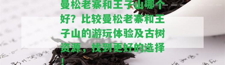 曼松老寨和王子山哪個(gè)好？比較曼松老寨和王子山的游玩體驗(yàn)及古樹(shù)資源，找到更好的選擇！