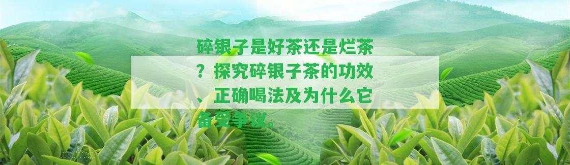 碎銀子是好茶還是爛茶？探究碎銀子茶的功效、正確喝法及為什么它備受爭議。