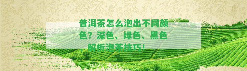 普洱茶怎么泡出不同顏色？深色、綠色、黑色，解析泡茶技巧！