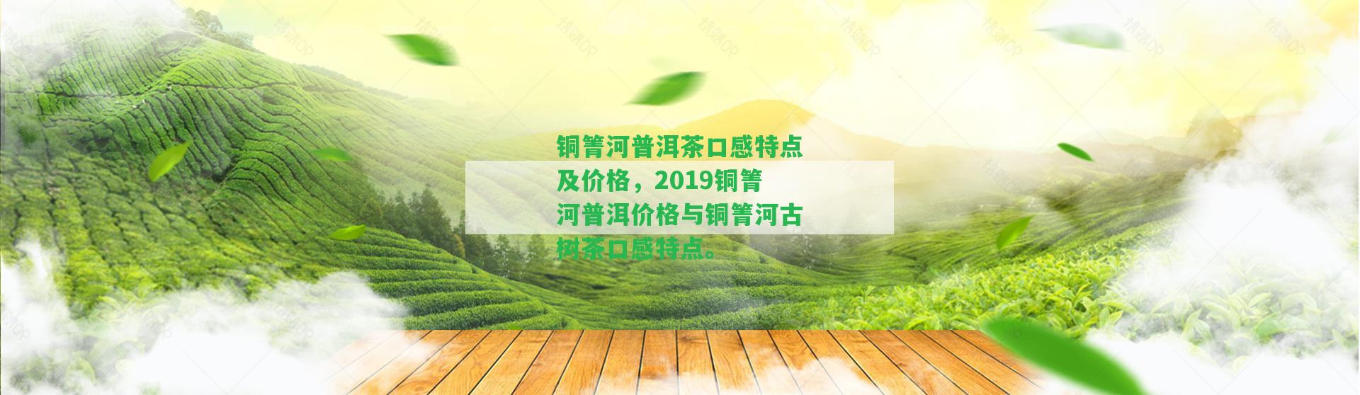 銅箐河普洱茶口感特點及價格，2019銅箐河普洱價格與銅箐河古樹茶口感特點。