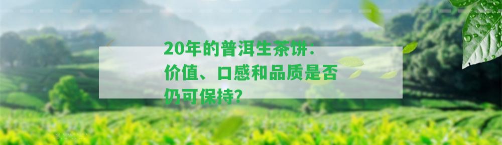 20年的普洱生茶餅：價(jià)值、口感和品質(zhì)是不是仍可保持？