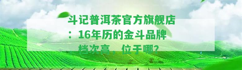 斗記普洱茶官方旗艦店：16年歷的金斗品牌，檔次高，位于哪？