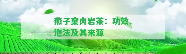 燕子窠肉巖茶：功效、泡法及其來(lái)源