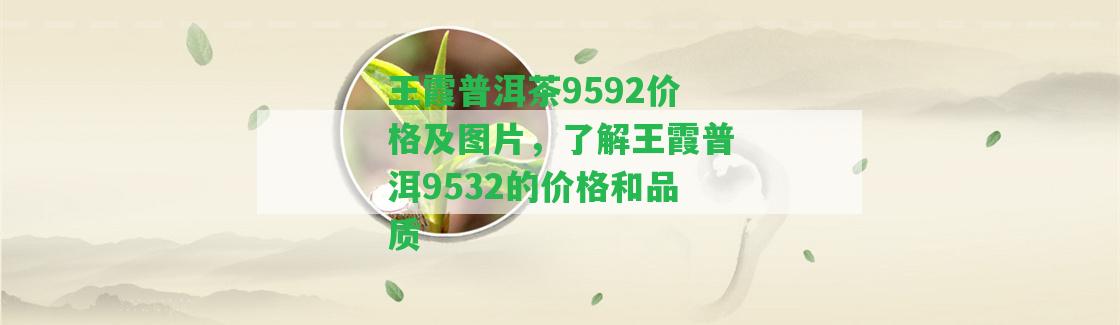 王霞普洱茶9592價格及圖片，熟悉王霞普洱9532的價格和品質