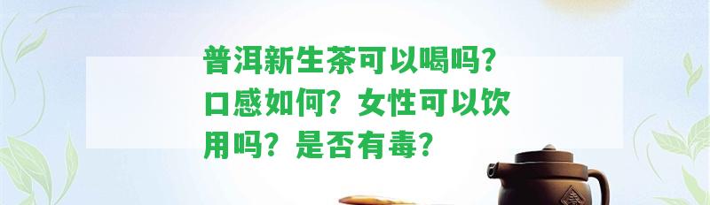 普洱新生茶可以喝嗎？口感怎樣？女性可以飲用嗎？是不是有毒？