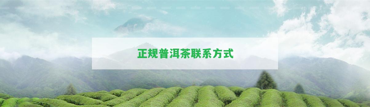 正規(guī)普洱茶聯(lián)系方法