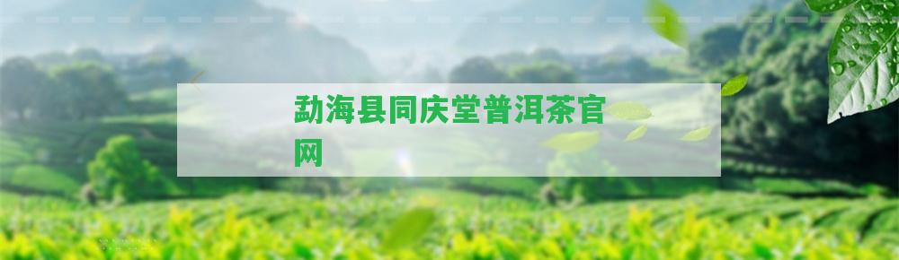 勐海縣同慶堂普洱茶官網(wǎng)