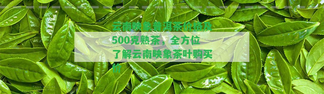 云南映象普洱茶價(jià)格及500克熟茶，全方位熟悉云南映象茶葉購(gòu)買價(jià)