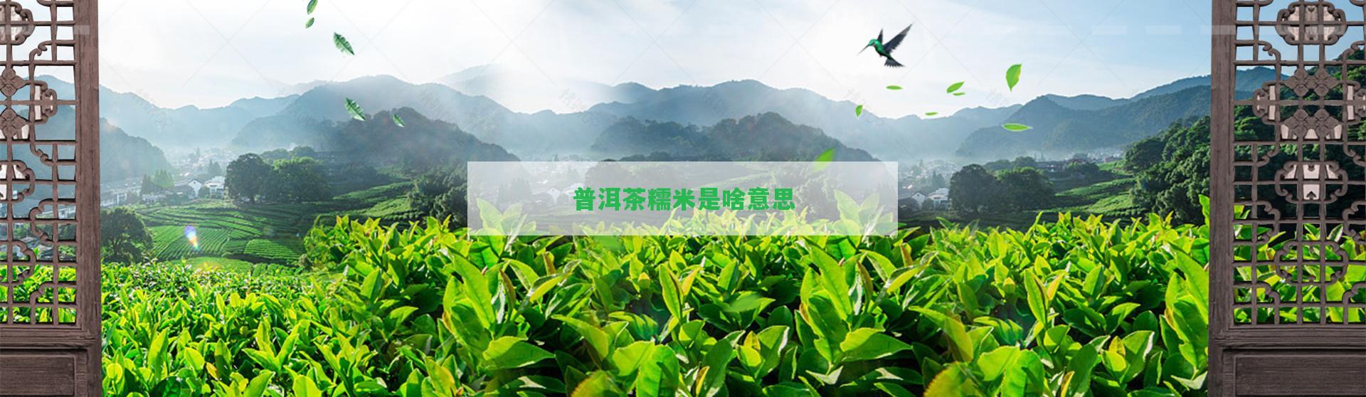 普洱茶糯米是啥意思