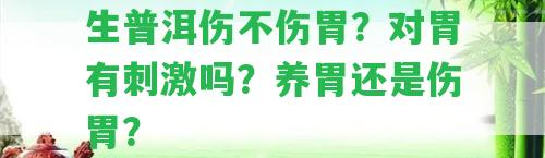 生普洱傷不傷胃？對胃有刺激嗎？養(yǎng)胃還是傷胃？