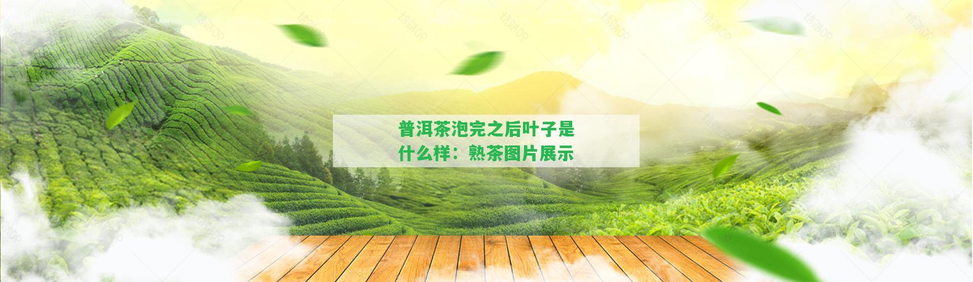 普洱茶泡完之后葉子是什么樣：熟茶圖片展示