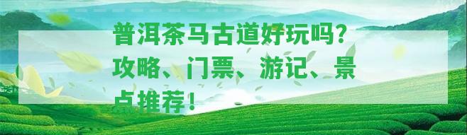 普洱茶馬古道好玩嗎？攻略、門票、游記、景點推薦！