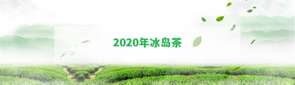 2020年冰島茶