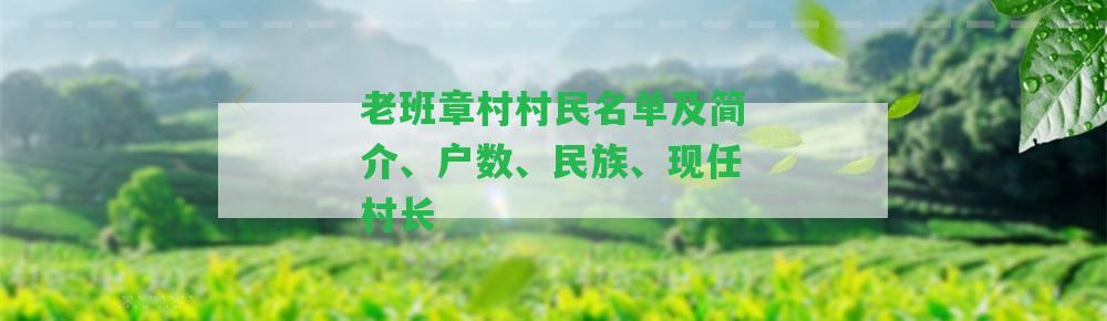 老班章村村民名單及簡介、戶數(shù)、民族、現(xiàn)任村長