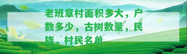 老班章村面積多大，戶數(shù)多少，古樹數(shù)量，民族，村民名單