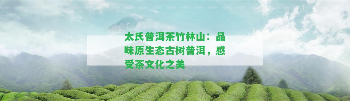 太氏普洱茶竹林山：品味原生態(tài)古樹普洱，感受茶文化之美