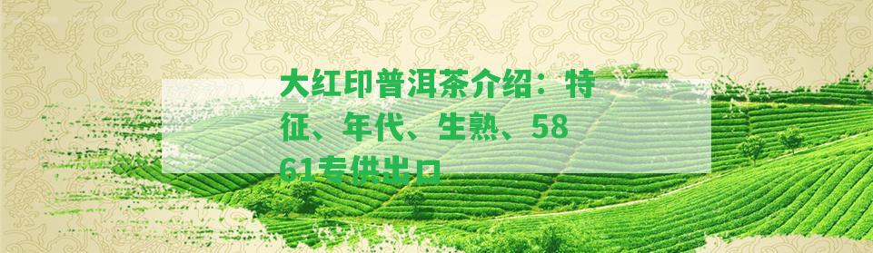 大紅印普洱茶介紹：特征、年代、生熟、5861專供出口