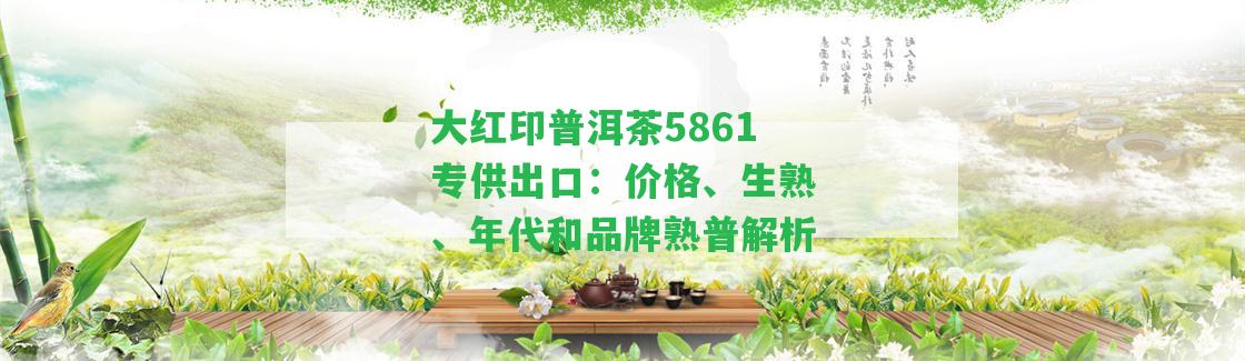 大紅印普洱茶5861專供出口：價格、生熟、年代和品牌熟普解析