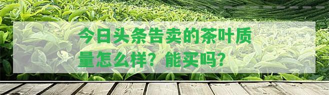 今日頭條告賣的茶葉品質(zhì)怎么樣？能買嗎？