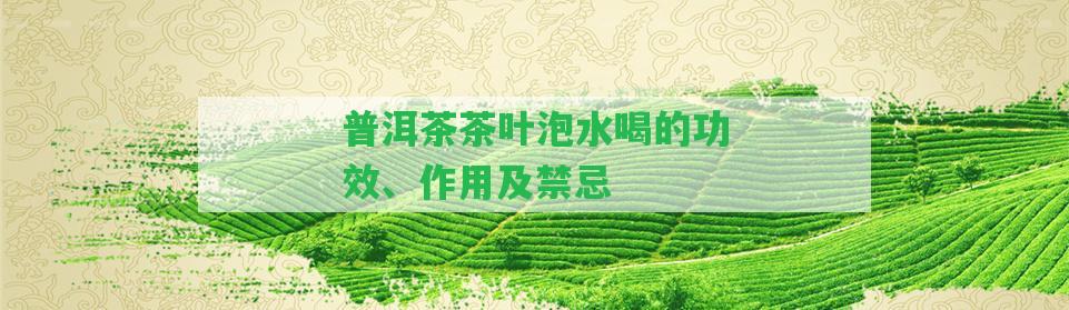 普洱茶茶葉泡水喝的功效、作用及禁忌