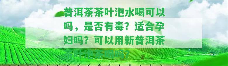 普洱茶茶葉泡水喝可以嗎，是不是有毒？適合孕婦嗎？可以用新普洱茶茶葉泡茶喝嗎？