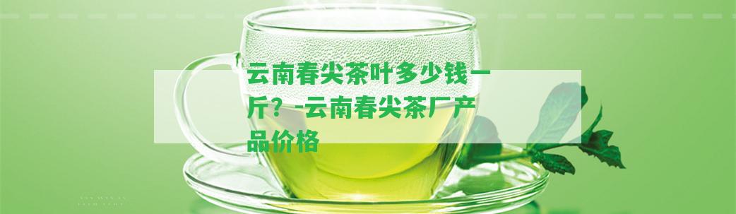 云南春尖茶葉多少錢一斤？-云南春尖茶廠產品價格