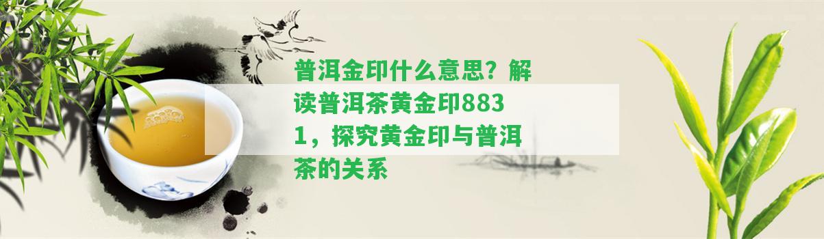 普洱金印什么意思？解讀普洱茶黃金印8831，探究黃金印與普洱茶的關(guān)系