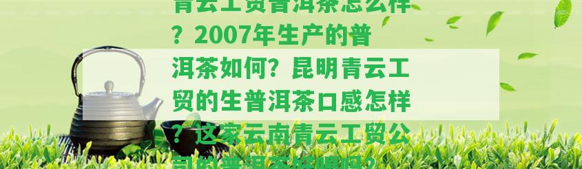 青云工貿(mào)普洱茶怎么樣？2007年生產(chǎn)的普洱茶怎樣？昆明青云工貿(mào)的生普洱茶口感怎樣？這家云南青云工貿(mào)公司的普洱茶好喝嗎？