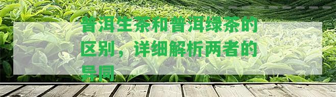 普洱生茶和普洱綠茶的區(qū)別，詳細(xì)解析兩者的異同